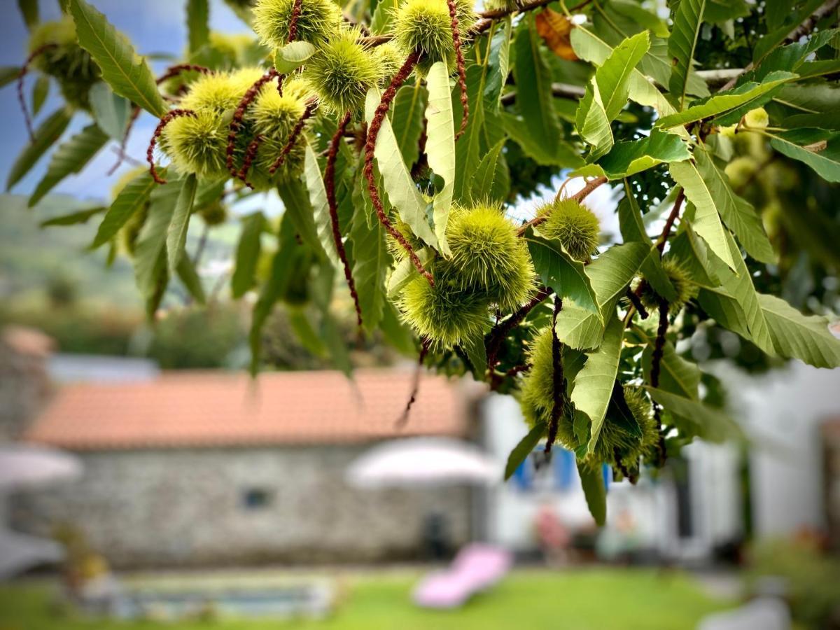 Casa Do Milhafre - Villaverde Azores Feteiras 외부 사진